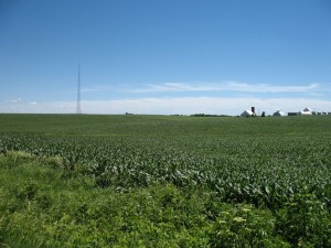 Farmland Off Highway 24